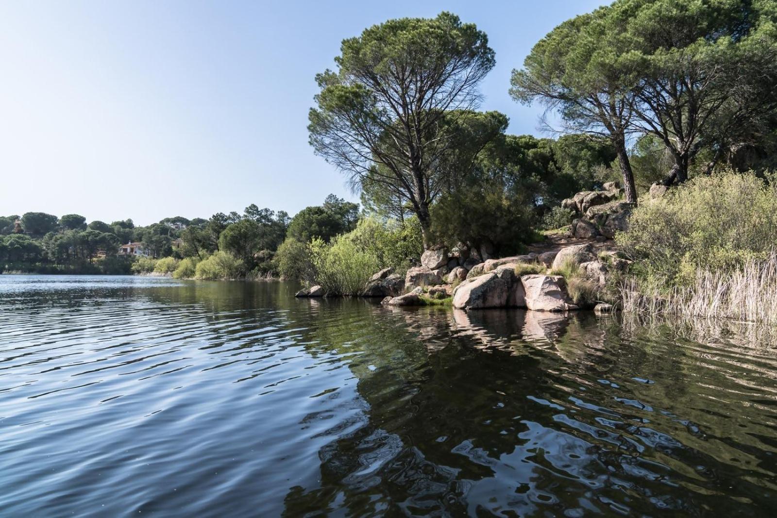 Casa El Lago Alojamiento Rural Las Jaras Екстер'єр фото